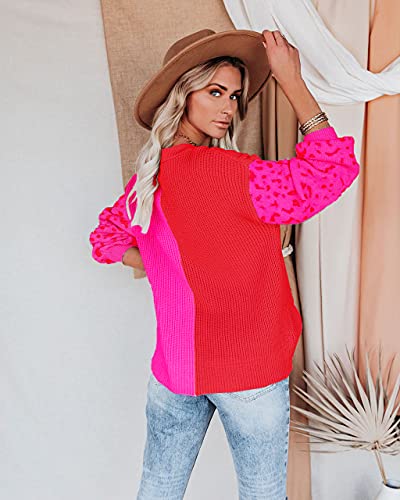 Image of ANCAPELION Women's V Neck Sweater Pullover Leopard Long Sleeve Basic Color Block Jumper Casual Knitted Tops