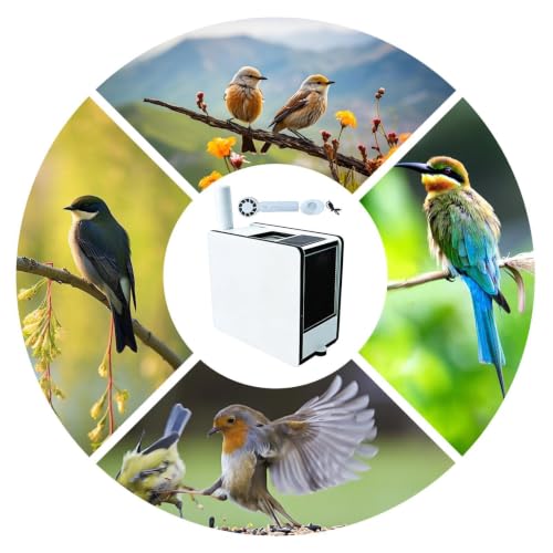 Séparation Propre des Grains pour perroquet avec le Bird Shell Remover