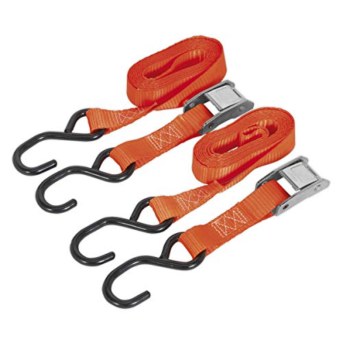 Sealey TD05025CS Cam Buckle Tie Down with Polyester Webbing Hooks, 25mm x 2.5m, 500Kg