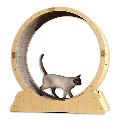 C'ESTBON katzenlaufrad Hölzernes Katzenübungs-Riesenrad, Haustierfreundliches Katzenlaufband mit Austauschbarer Laufbahn, -Katzenlaufrad mit Schloss, Winziger Spalt und Leise Riemenscheiben, Size M