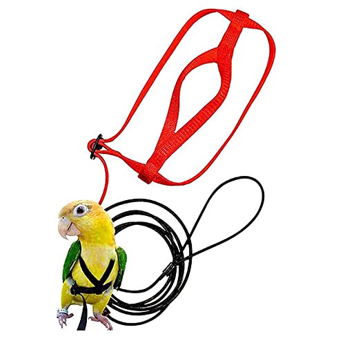 Image of Pet Parrot Bird Harness and Leash, Adjustable Outdoor Flying Traction Straps Band Adjustable Anti-Bite Training Rope(L)