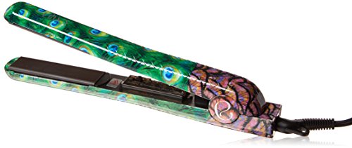 + Free Professional Comb WORLDWIDE DUAL VOLTAGE 110v - 220v (PEACOCK)