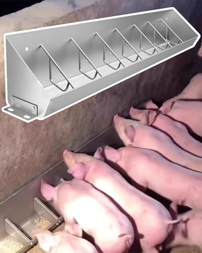 Mangeoire en métal pour cochons : équipement robuste anti-gaspillage pour bétail
