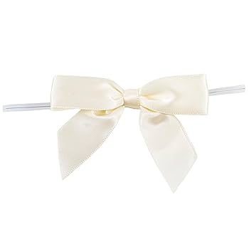 Amazon.com: Ivory Satin Pre-Tied Decorative Bows - 3