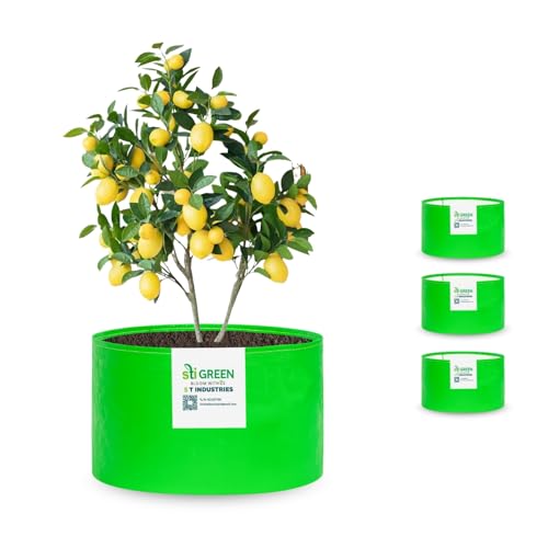 Image of HDPE Grow Bags for Plants 12X12 Inch (Pack of 4) | 260 GSM Heavy Duty UV-Protected Round Green Colour Plant Bags for Terrace and Vegetable Gardening | Strong & Reusable|