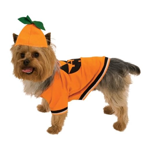Rubie's Pumpa husdjurskostym, medium