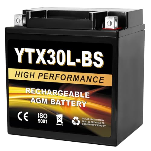Daakmax YTX30L-BS 12V 30Ah AGM Sealed Motorcycle Battery Maintenance-Free Compatible with ETX30L-BS Harley Davidson Polaris Sportsman ATV UTV Snowmobile