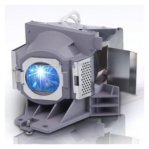 Module de rechange RLC-092 pour vos soirées cinéma sur Viewsonic PJD5555W