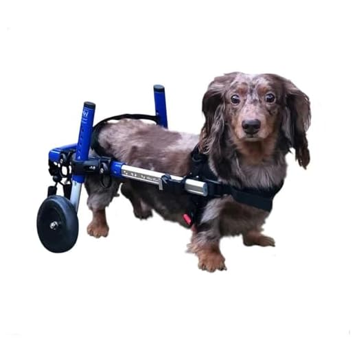 Dachshund Wheelchair - for Small Dogs 2-30+ Pounds - Veterinarian Approved - Dog Wheelchair for Back Legs