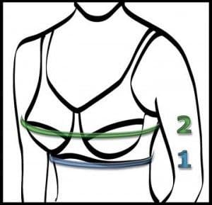Paradise Silk Women's Pure Silk Bra
