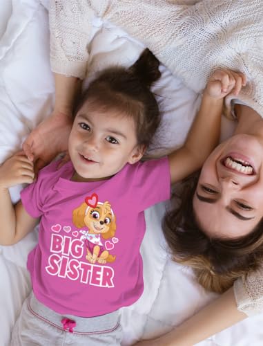 Tstars Paw Patrol Skye Big Sister Shirt Girls Big Sister Outfit Toddler Kids T-Shirt2