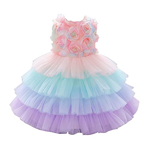 Image of Hopscotch Baby Girl's Fit & Flare Long Dress