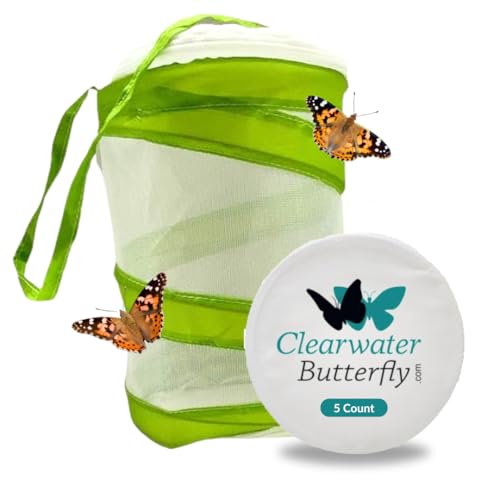 Clearwater Butterfly Live Painted Lady Butterflies - Butterfly Growing Kit with Live Caterpillars - Mesh Cage Included - Butterfly Habitat - 5 Live Caterpillars to Butterflies - Live Butterfly Kit