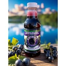 100% All Natural Black Currant Nectar 16 oz. - 12 pack