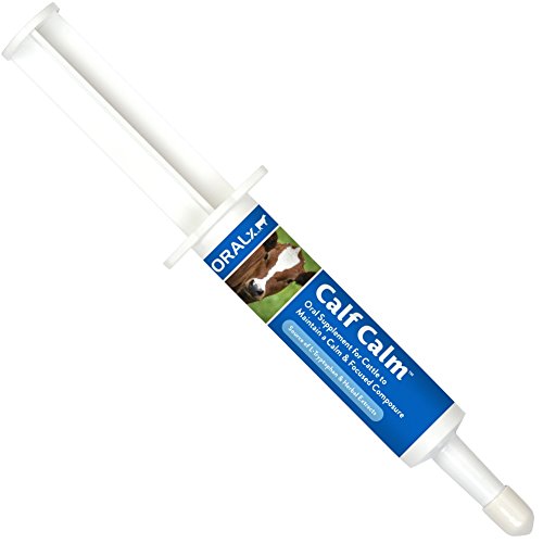 Oralx Calf Calm for Calves & Cattle. Calming Paste with L-Tryptophan and Herbal Extracts to Help Maintain Calm, Focused Composure During Events & Transport. Easy-Dose Syringe. Made in USA.