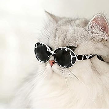 Amazon Eonpet Alien Camo Glasses 猫 眼鏡 メガネ 可愛い猫 ペット用 日焼け対策 保護 ファッション クール アクセサリー 撮影物 紫外線カット サングラス Eonpet サングラス 通販 Amazon Eonpet Alien Camo Glasses 猫 眼鏡 メガネ 可愛い猫 ペット用 日焼け対策 保護 ファッション クール アクセサリー 撮影物 紫外線カット サングラス Eonpet サングラス 通販