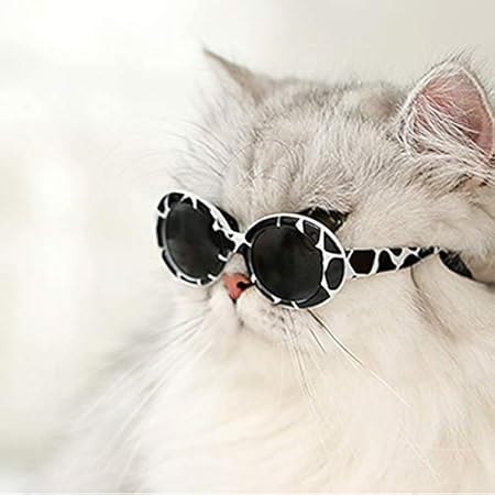 Amazon Eonpet Alien Glasses 猫 眼鏡 チェックする メガネ 可愛い猫 ペット用 日焼け対策 保護 ファッション クール アクセサリー 撮影物 紫外線カット サングラス S 2 Eonpet サングラス 通販 Amazon Eonpet Alien Glasses 猫 眼鏡 チェックする メガネ 可愛い猫 ペット用 日焼け対策 保護 ファッション クール アクセサリー 撮影物 紫外線カット サングラス S 2 Eonpet サングラス 通販