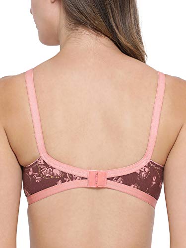 Image of Clovia Women's Pack of 3 Cotton Non-Padded Non-Wired Bra- (Colors and Prints May Vary)