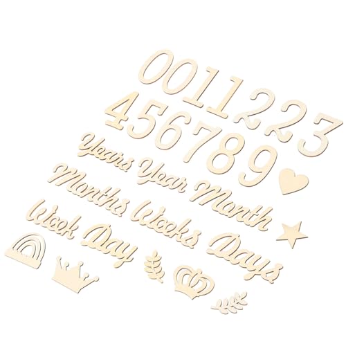 BIUDECO 1 Zbg ̐ V̌̒ ̂m点TC Vʐ^Bȅ V}CXg[J[h ̌ԃ}CXg[ }[J[ ؐ