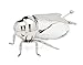 Godinger BEE HONEY JAR