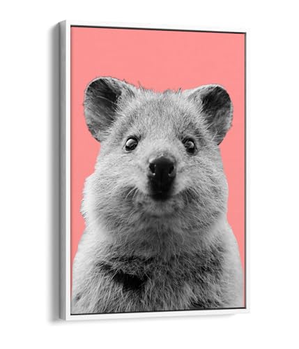 Impression sur toile quokka multicolore fond rose avec cadre blanc