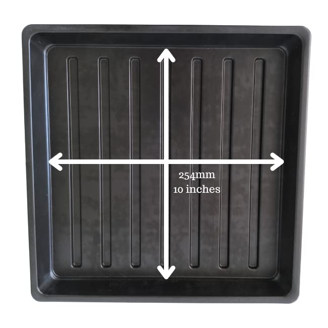 1010 bandejas de cultivo de microgreens (paquete de 20) bandejas poco profundas premium de 10 x 10 pulgadas para cultivar microgreens y pasto de trigo, 10 bandejas con agujeros y 10 bandejas sin