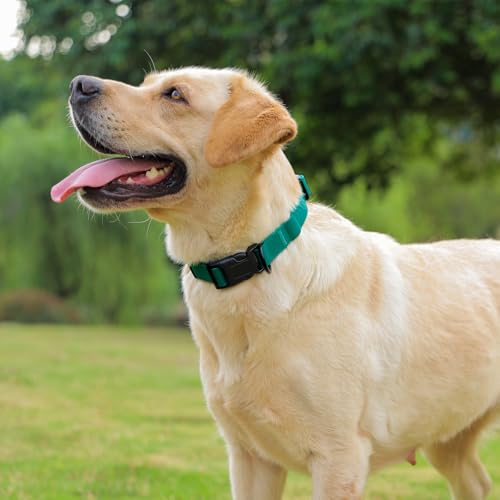 Image of Waterproof Dog Collar, Easy to Clean Rubber Dog Collars with Quick Release Buckle Fits Small Medium or Large Dogs (Emerald Green, M < 11.8-18.5 inch)