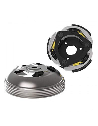 Kupplung Maxiscooter Malossi Maxi Delta System für Honda 300 Forza, 250 Forza, Foresight, 300 Forza, SH