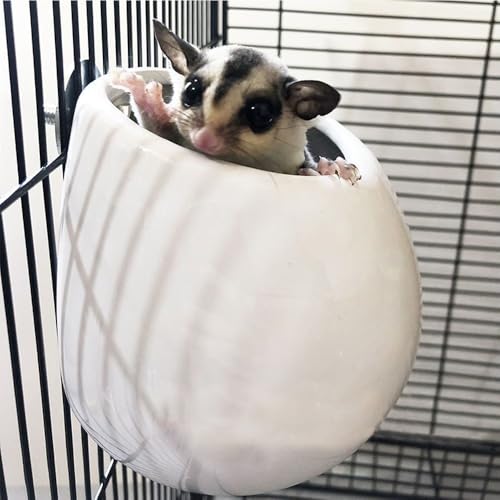 IYOIYA tNK |[`   nEX  Ђ  K Q Q  xbh ݂艺   ΍ M 2C 傫 P[W Q[W t Œ L