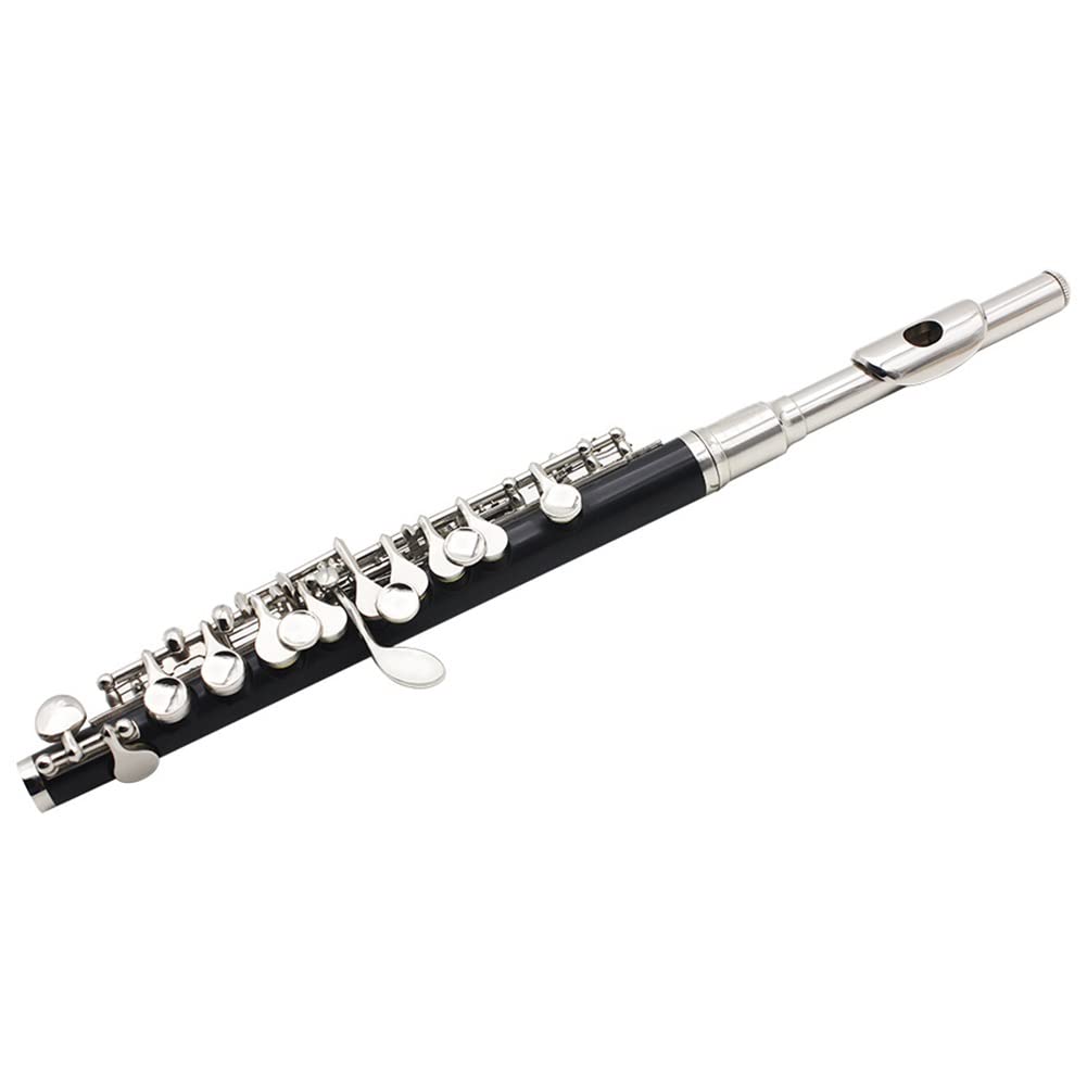 Piccolo a mezza misura chiave C, piccolo in cupronichel placcato argento a 16 fori con custodia, bacchetta, cacciavite