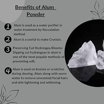 Shine Organic Fitkari Stone - Alum Stone For Water Purification | Phitkari Stone For Skin Care - White Phitkari After Shave Fitkari For Face Glowing - (150 gm) 1