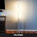 Brightech Embrace Dimmable LED Floor Lamp – Modern Spiral Adjustable Standing Lamp for Living Rooms & Offices – 2-in-1 Tall End Table Lamp for Bedroom Reading - Silver