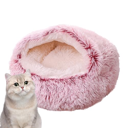 L̃xbh̓A - S𗎂錢pxbh | _炩ʂݔLnEXA~ߒtpxbhAL̓Axbh@􂢉\Aybgpi