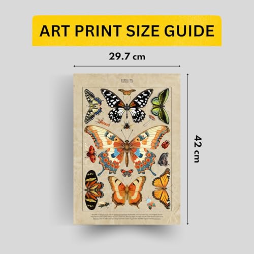 Image of Yellow Town India Vintage Botanical Wall Posters, Set of 3 A3 Prints, 29.7 x 42 cm, Frameless Art with Adhesive, Fungi Mushroom, Butterfly, Seashell Theme