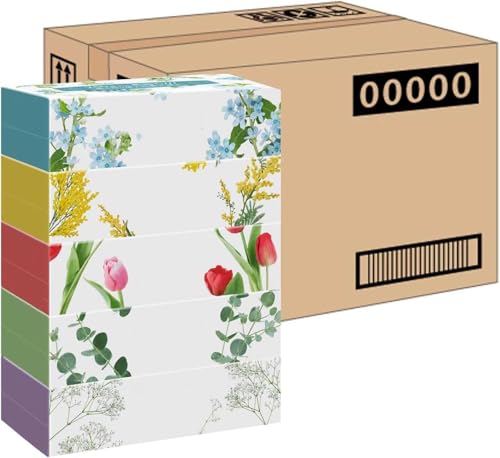 XRbeB t[{bNX 500(250g) 60