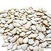 Jumbo Size Unsalted Pumpkin Seeds In Shell by Gerbs - 2 LBS - Top 11 Food Allergen Free & Non GMO - Premium Dry Roasted Whole Pepitas – COG USA