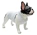 Lovelonglong 2019 Summer Pet Clothing, Dog Clothes Blank T-Shirts Ribbed Tanks Top Thread Vests for Large Medium Small Dogs 100% Cotton White L-M