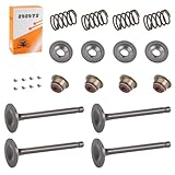 For EZGO 4 Cycle Gas Golf Cart Fuji Robin 295cc 350c EH29C EH35C Intake Valve Exhaust Valve W/Seals Spring Retainers & Collet 72507-G01 72508-G01 1992-2002