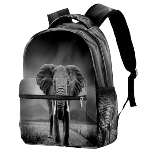 Sac de voyage compact 29.4x20x40cm pour éviter les frais de bagages cabine