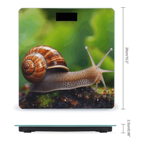 Báscula Digital de Baño con Sensor Animal Caracol miniatura 2