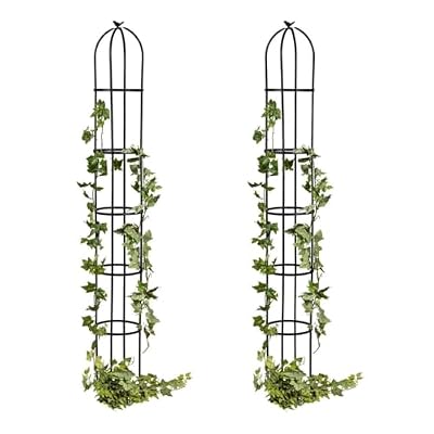 Evergreen Metal Garden Obelisk Trellis for Climbing Plants Outdoor, Indoor Plant Trellis for Potted Plants, Floral Pattern Arch Trellis (Black, 7 ft. Round, Set of 2)