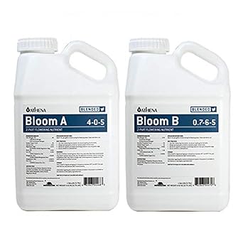 HighStreetHydro  JUNGLE BOYS! Athena Bloom A and B, 5 Gallon / 22L If You Know You Know