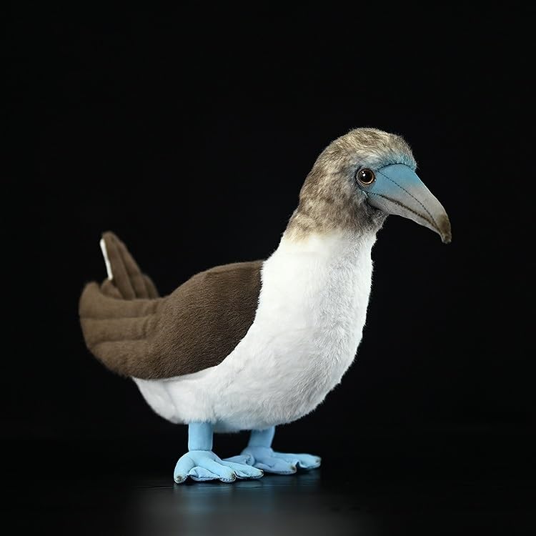Amazon.co.jp: 34cm アオアシカツオドリ ぬいぐるみ 超リアル アオアシ