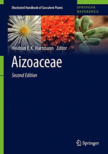 Aizoaceae (Illustrated Handbook of Succulent Plants)