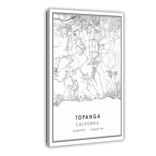 AMLTJ Topanga California Map Black And White Lines Minimalist City Topography Wall Decoration Poster...