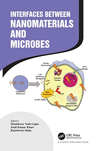 Interfaces Between Nanomaterials and Microbes view 2