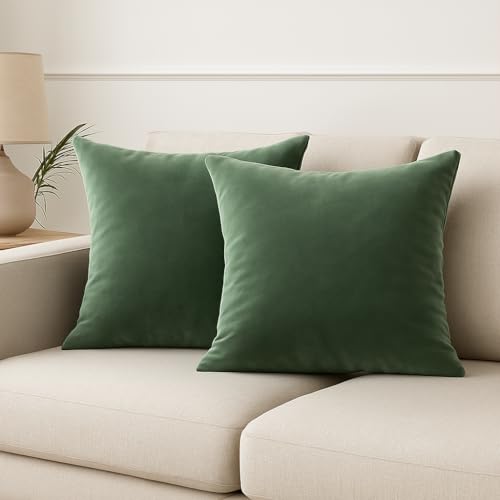 knilot Throw Pillow Covers Sage 18x18 inchs, 2 Pack Velvet Pillow Case Square Decorative Solid Color Cushion Cover Pillowcases for Sofa & Couch, Bedroom, Car, Yard - ONLY Covers