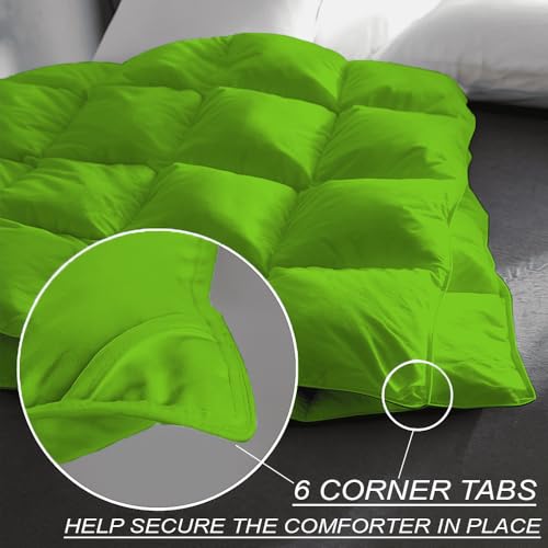 Image of Queen Size Comforter Set - All Season Down Alternative Bedding Comforter Set - Quilted Duvet Insert with Corner Tabs - Box Stitched Blanket - Breathable, Soft - Parrot Green