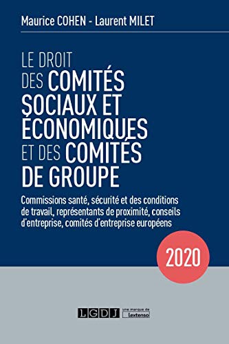 Télécharger Le droit des comités sociaux et économiques et des comités de groupe : Commissions santé, sécur Gratuit