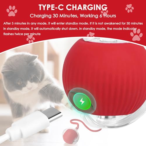 Afaneep Interaktives Katzenspielzeug Katzenball Selbstrollend Elektrisch Ball USB-Aufladung Magic Ball Hund Automatisch Rollende 3 Arbeitsmodi Interaktiver Spielballmit Schwanz für Katzen und Hunde